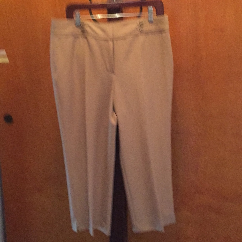Ladies pant